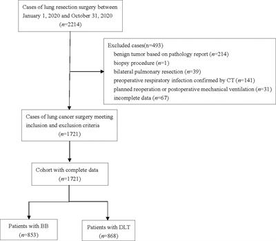 The association between double-lumen tube versus bronchial blocker and postoperative pulmonary complications in patients after lung cancer surgery
